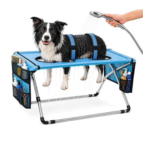 2-in-1 Foldable Pet Grooming Station with Stand